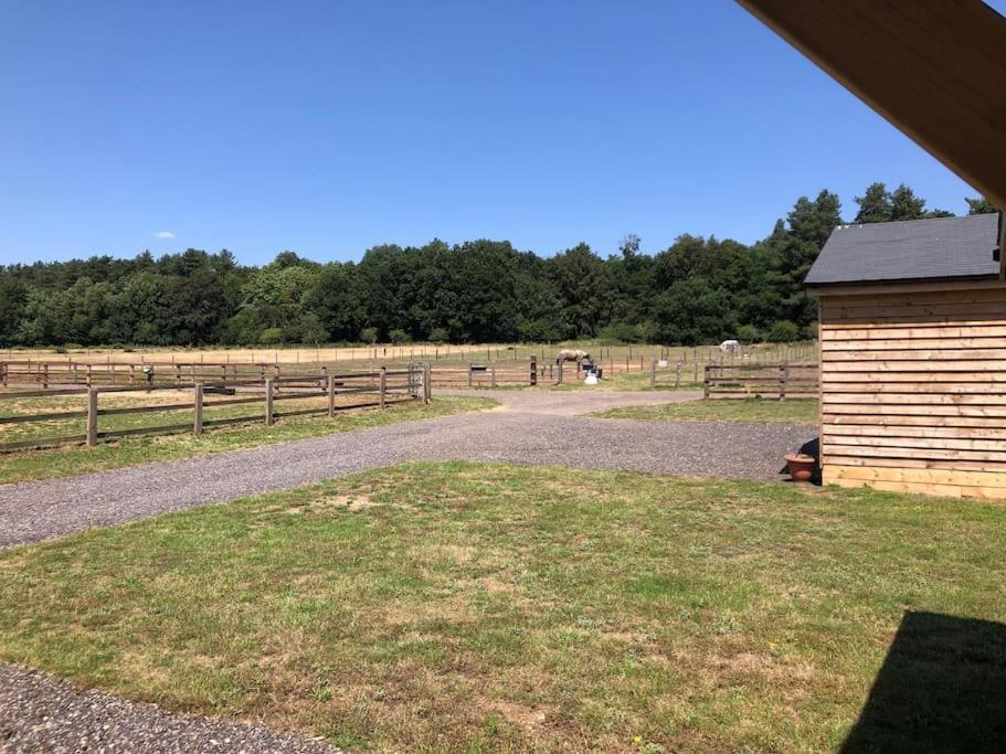 Nightjar Lodge - Adults Only Lackford Exterior photo
